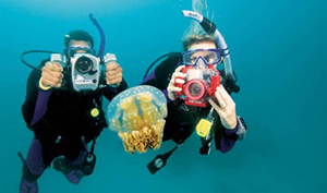 Underwater Photographer