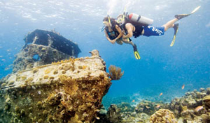 Wreck Diver