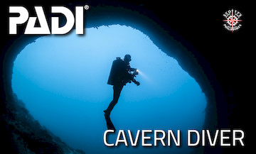 Night Diver