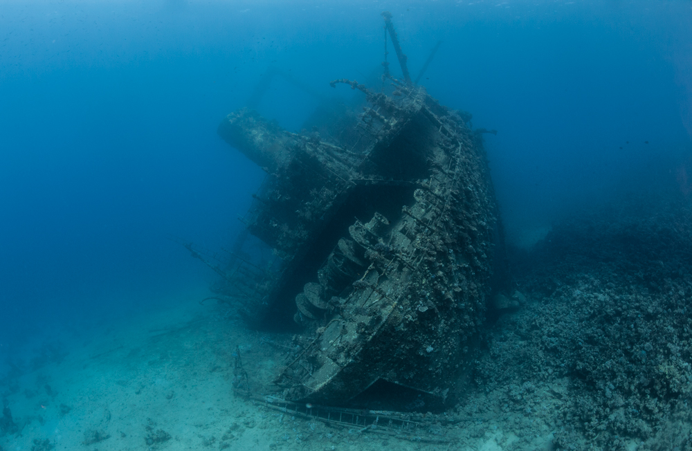 Wreck Diver