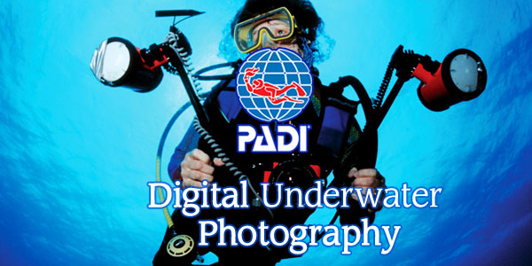 Digital Underwater Photography