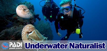 Underwater Naturalist