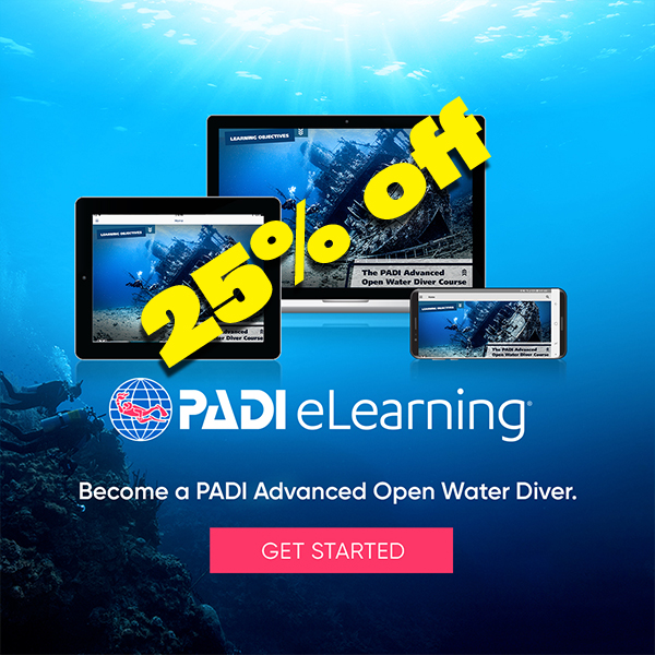 AOW eLearning 25% Off