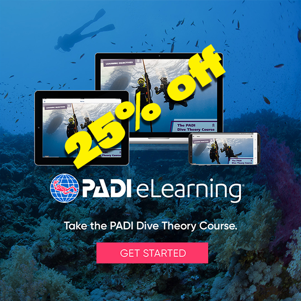 Dive Theory eLearning 20% Off