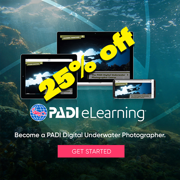 Digital Underwater Photography eLearning 25% Off