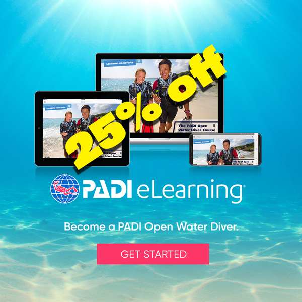 OW eLearning 25% Off
