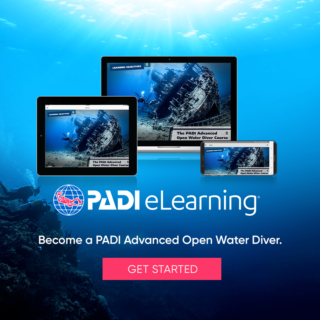 eLearning The Dive Shop